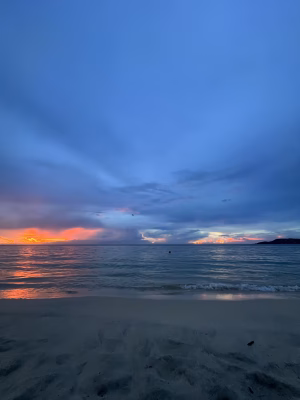 Brandon Loftin - Project Casting Gallery Image 10 Brandon Loftin - Gallery Image 10