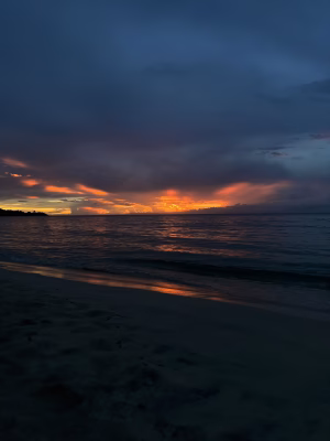 Brandon Loftin - Project Casting Gallery Image 8 Brandon Loftin - Gallery Image 8