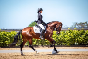 Antonella Scorza - Project Casting Gallery Image 14 Antonella Scorza - Gallery Image 14