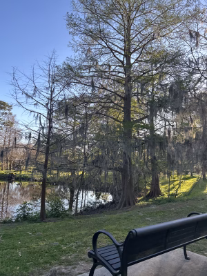 Sophie Harris - Project Casting Gallery Image 15 Sophie Harris - Gallery Image 15