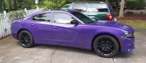 Wilma Meding - Project Casting Gallery Image 5 Wilma Meding - Gallery Image 5