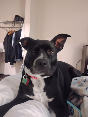 Christine  Gosa - Gallery Image 4