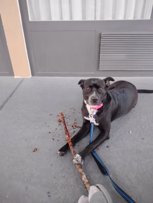 Christine Gosa - Project Casting Gallery Image 7 Christine Gosa - Gallery Image 7