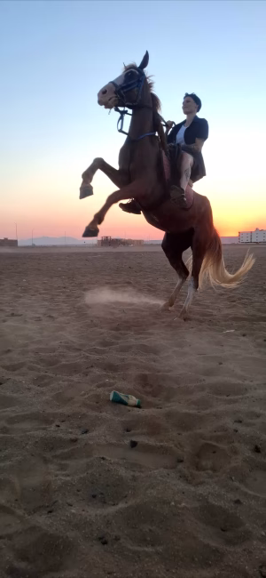 Persephone (Steph) Dixon - Project Casting Gallery Image 13 Persephone (Steph) Dixon - Gallery Image 13