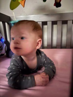 David Tamakhin - Project Casting Gallery Image 12 David Tamakhin - Gallery Image 12