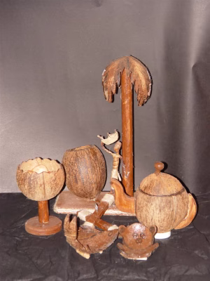 Afshan A. Razzak - Project Casting Gallery Image 6 Afshan A. Razzak - Gallery Image 6