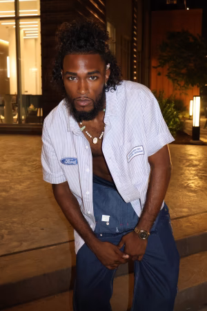 Mohan Lall - Project Casting Gallery Image 18 Mohan Lall - Gallery Image 18