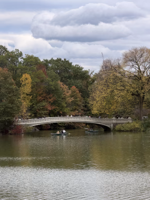 Aly Zúñiga - Project Casting Gallery Image 12 Aly Zúñiga - Gallery Image 12