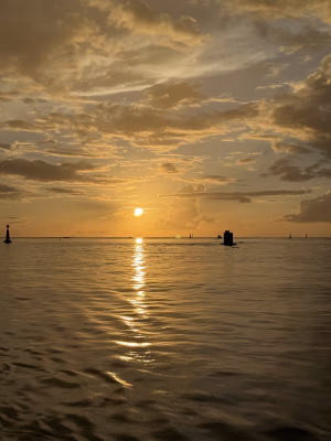 Raiano Teihotaata - Project Casting Gallery Image 2 Raiano Teihotaata - Gallery Image 2