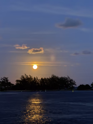 Raiano Teihotaata - Project Casting Gallery Image 8 Raiano Teihotaata - Gallery Image 8