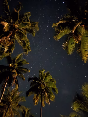 Raiano Teihotaata - Project Casting Gallery Image 6 Raiano Teihotaata - Gallery Image 6