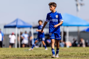 D Hoffman - Project Casting Gallery Image 3 D Hoffman - Gallery Image 3