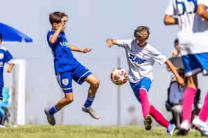 D Hoffman - Project Casting Gallery Image 2 D Hoffman - Gallery Image 2