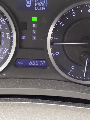 Peter Pagano - Project Casting Gallery Image 5 Peter Pagano - Gallery Image 5