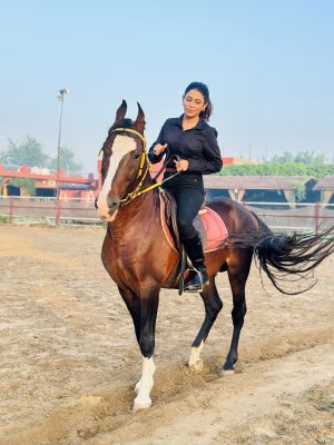 Simone C. Chahal - Project Casting Gallery Image 8 Simone C. Chahal - Gallery Image 8