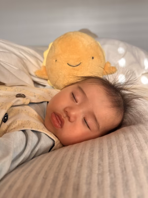 Alistair Sun - Project Casting Gallery Image 8 Alistair Sun - Gallery Image 8