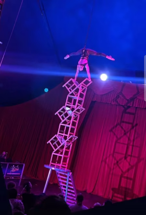 Tiffany Field - Project Casting Gallery Image 6 Tiffany Field - Gallery Image 6