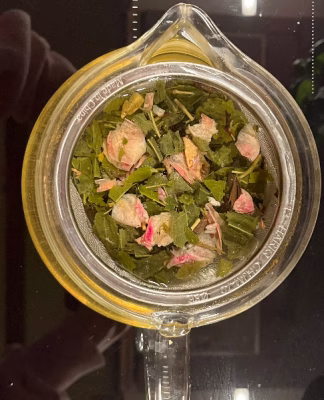 cropped_image-1548