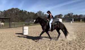 Ashton Bouknight - Project Casting Gallery Image 1 Ashton Bouknight - Gallery Image 1