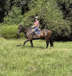 Rebecca Riley - Project Casting Gallery Image 5 Rebecca Riley - Gallery Image 5