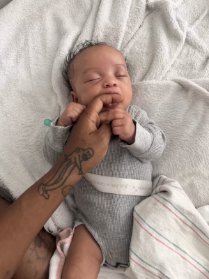 Stephanie Ailes - Gallery Image 1