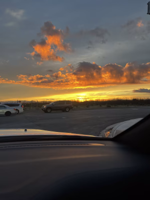 Maile Ernestberg - Project Casting Gallery Image 6 Maile Ernestberg - Gallery Image 6