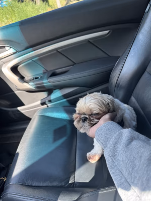 Makena Mastora - Project Casting Gallery Image 6 Makena Mastora - Gallery Image 6