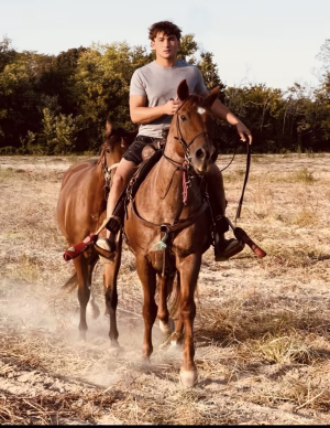 Luke Ward - Project Casting Gallery Image 14 Luke Ward - Gallery Image 14