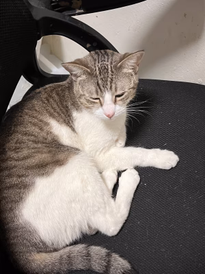 Kayonni Knowles - Project Casting Gallery Image 9 Kayonni Knowles - Gallery Image 9