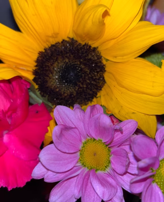 cropped_image-200
