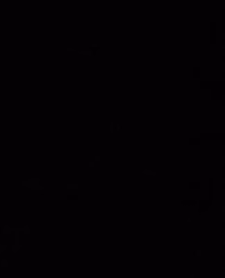 cropped_image-2601