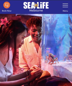 Jackie Cheng - Project Casting Gallery Image 4 Jackie Cheng - Gallery Image 4