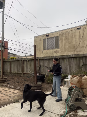 Amy Koehler - Project Casting Gallery Image 2 Amy Koehler - Gallery Image 2