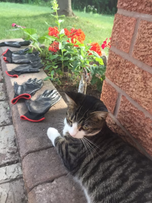 Madhura Vaidya - Project Casting Gallery Image 3 Madhura Vaidya - Gallery Image 3