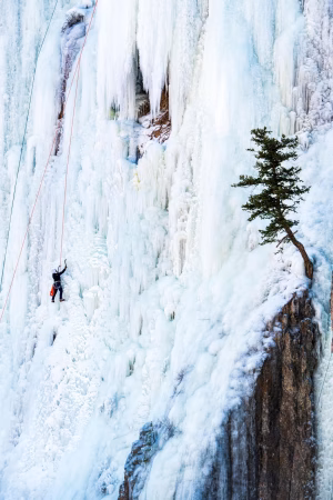 Sarah Seibold - Project Casting Gallery Image 3 Sarah Seibold - Gallery Image 3