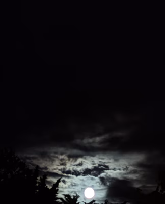 cropped_image-4360