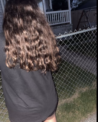 cropped_image-1352