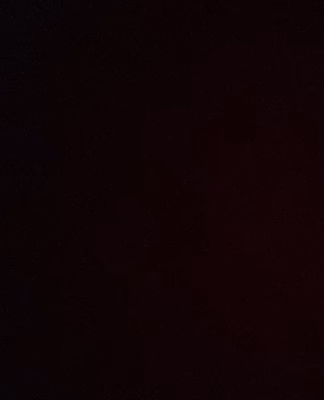 cropped_image-2594