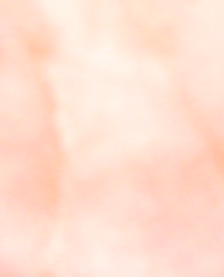 cropped_image-6312
