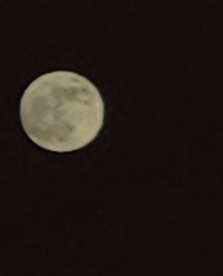 cropped_image-6497