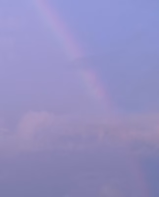 cropped_image-1144