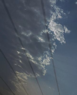 cropped_image-30
