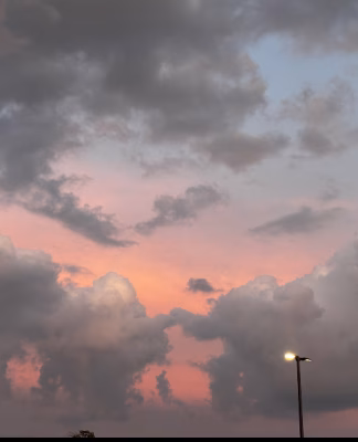 cropped_image-3792