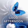 nwbgnngs1.lmj