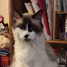 lilsgjerd