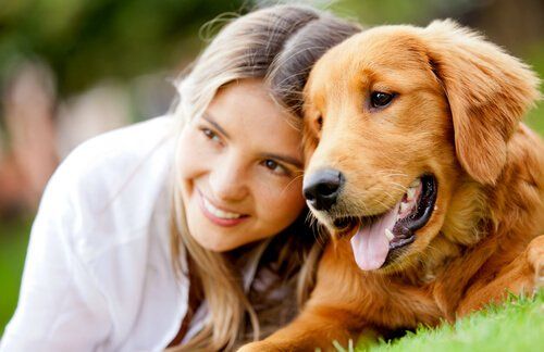 Car Commercial Savannah Casting Call for Golden Retrievers