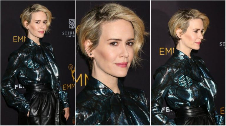 Sarah Paulson’s ‘The Goldfinch’ NYC Casting Call for Middle School Students