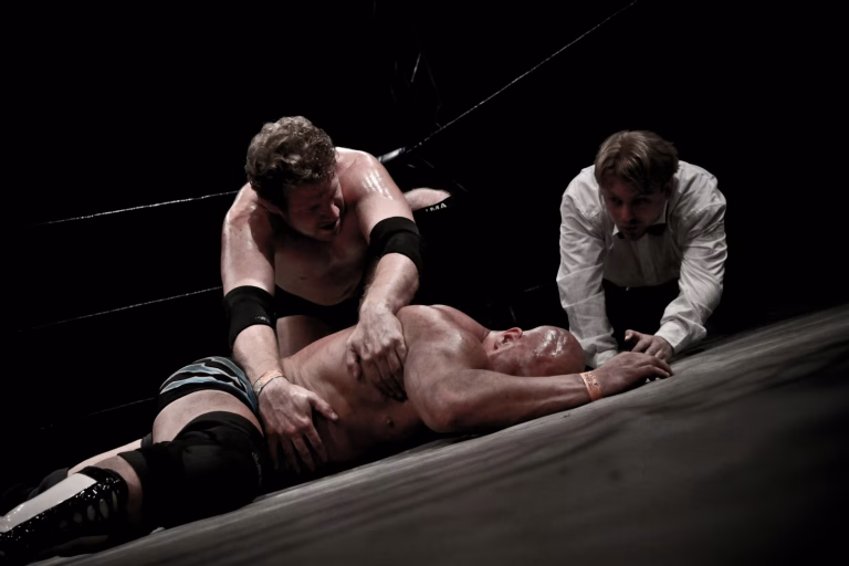 WWE Commercial Casting Call for Professional Wrestlers