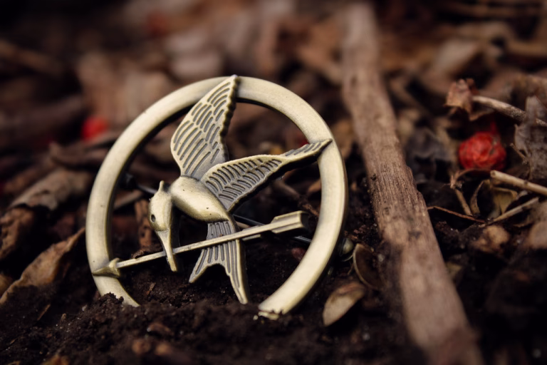 How to Get Cast in ‘Hunger Games: Sunrise on the Reaping’