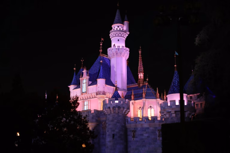 Disney Prince Lookalike Casting Call: $500/Day Auditions in Orlando